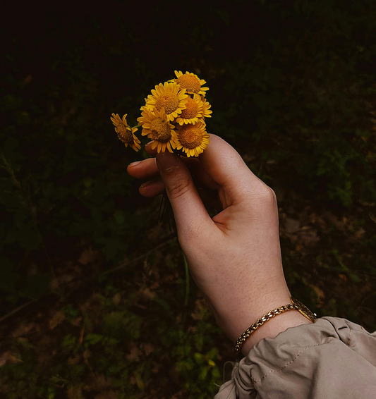 Biodegradable Urns vs. Traditional Burial Methods: Why More People Are Choosing Eco-Friendly Farewells