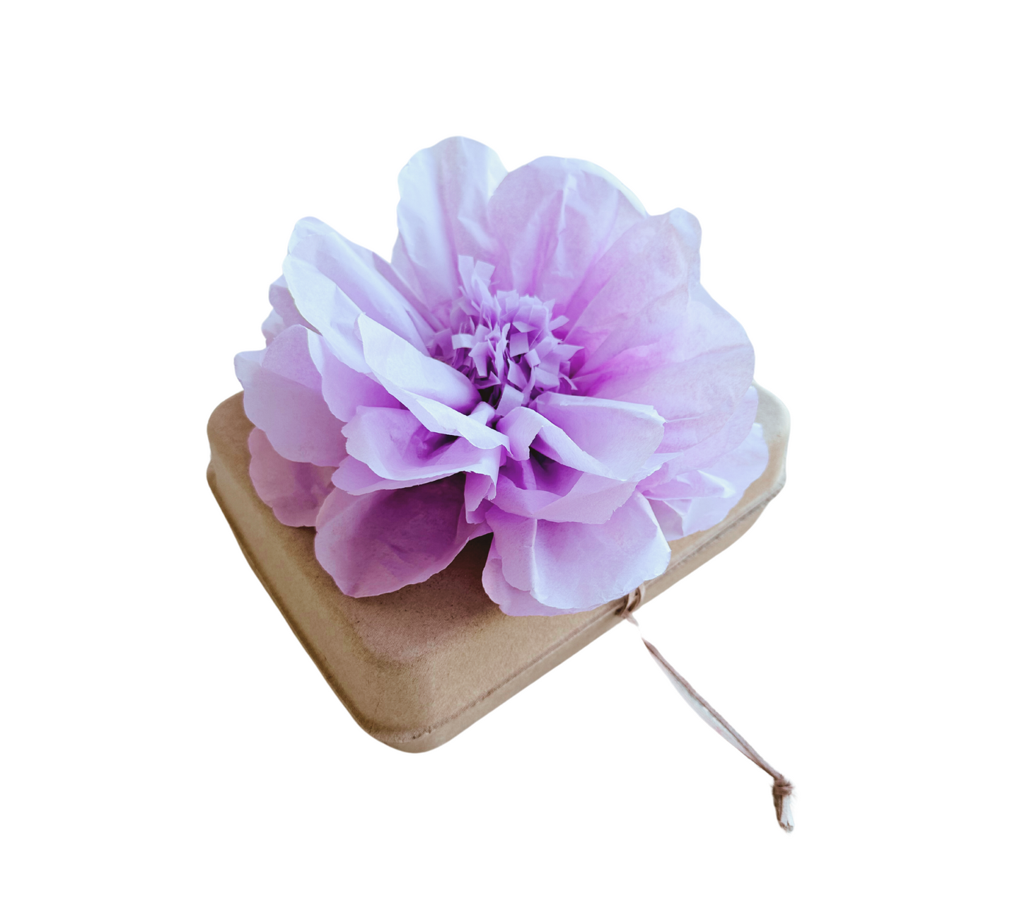 Eco-friendly biodegradable urns for honoring life's journey with love. Supports water/ground burials, embodying sustainability and spiritual connection. Each purchase aids end-of-life care, honoring memories and Earth.