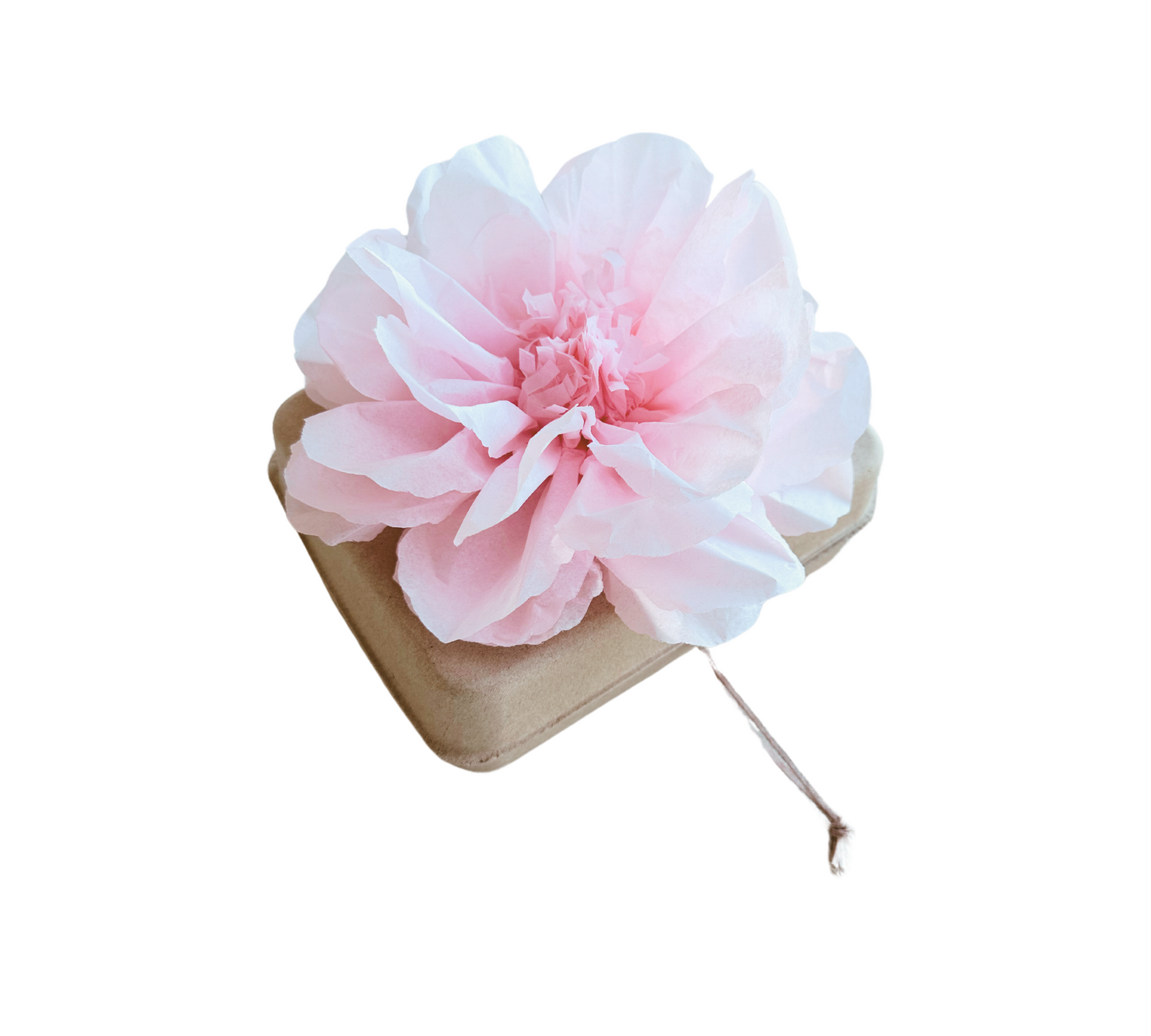 Pachamama Honoring Kit: Biodegradable Urn with Palid Pink Tissue Paper Flower