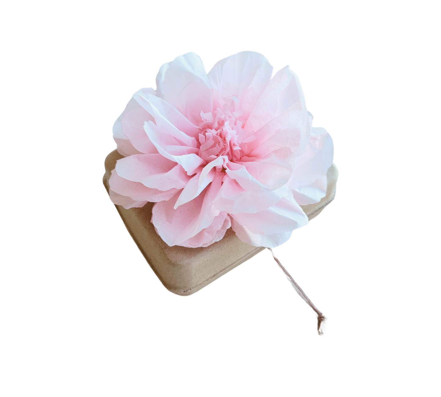 Pachamama Honoring Kit: Biodegradable Urn with pink Tissue Paper Flower