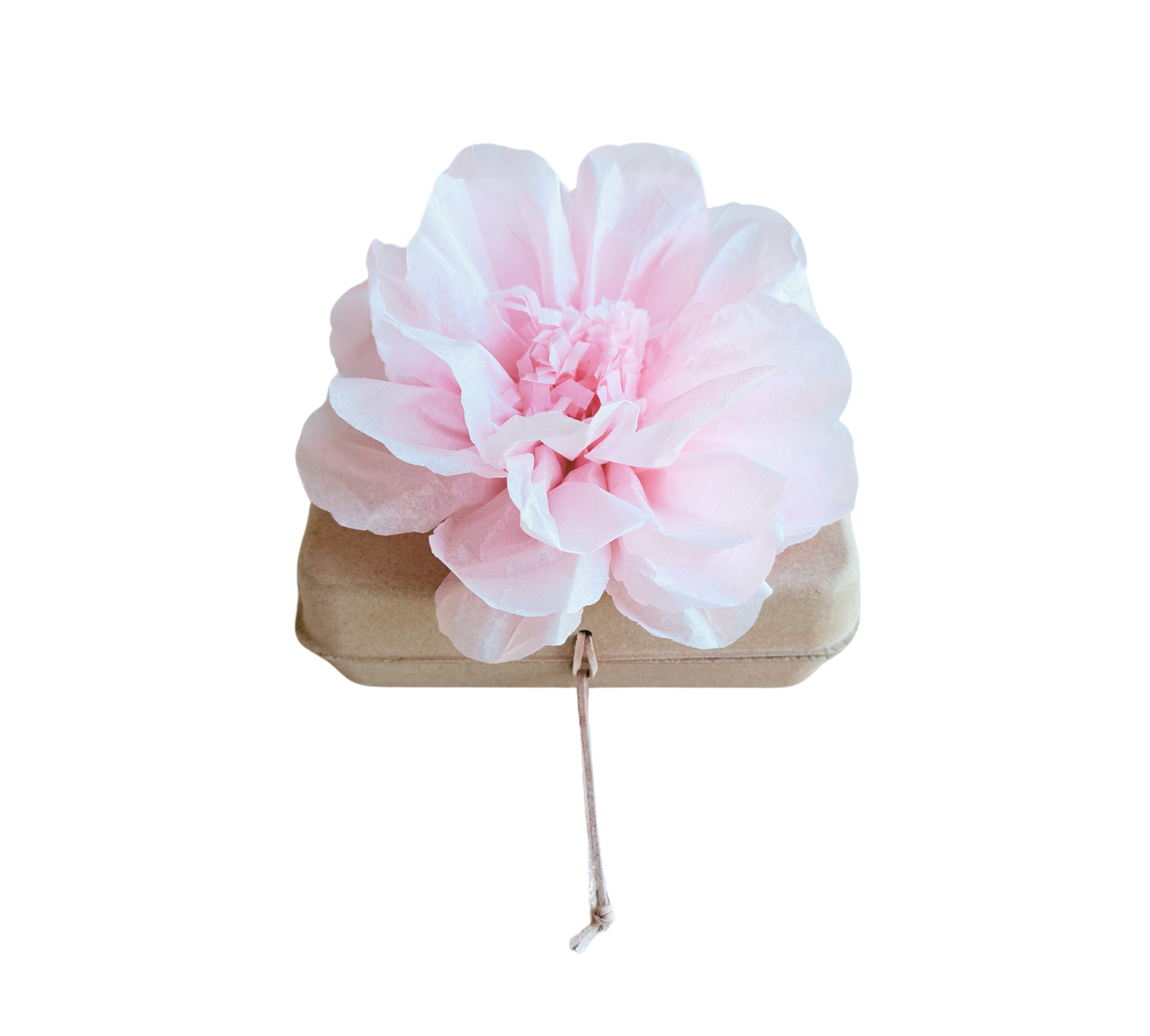 Pachamama Honoring Kit: Biodegradable Urn with pink Tissue Paper Flower