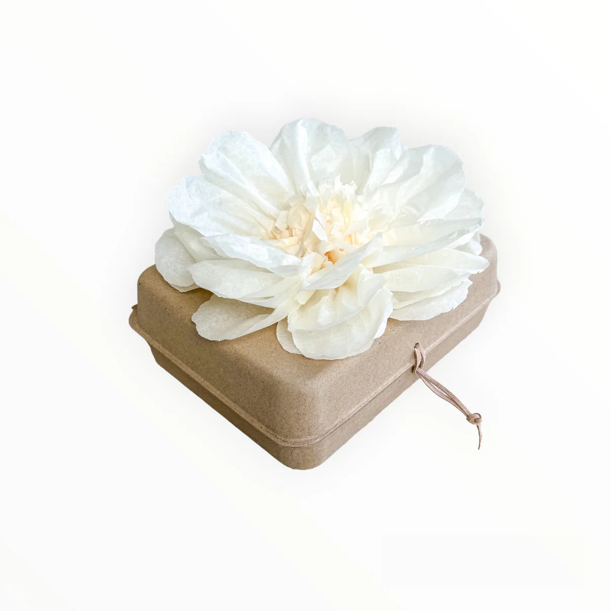 Pachamama Biodegradable Urns with Assorted Tissue Paper Flowers: Honor and Embrace Nature