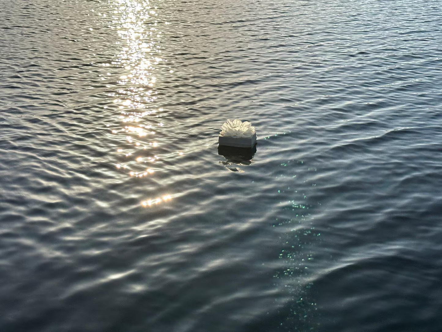 Eco-friendly biodegradable urns for honoring life's journey with love. Supports water/ground burials, embodying sustainability and spiritual connection. Each purchase aids end-of-life care, honoring memories and Earth.