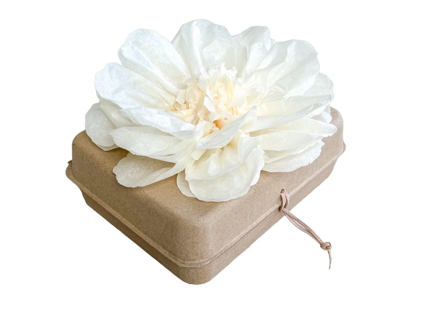 Pachamama Honoring Kit: Biodegradable Urn with Natural Tissue Paper Flower